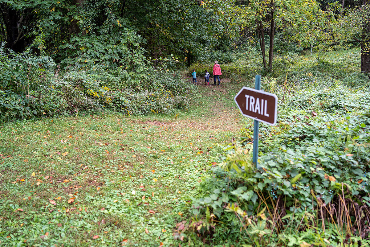 Meadow trail